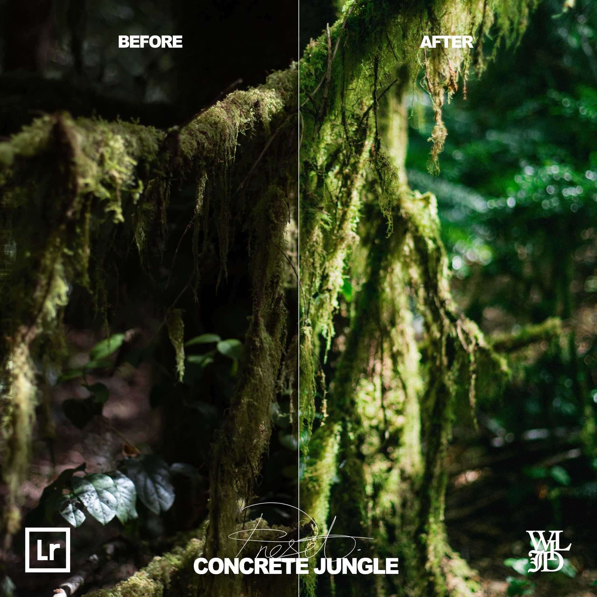 Summer Lightroom Preset Pack