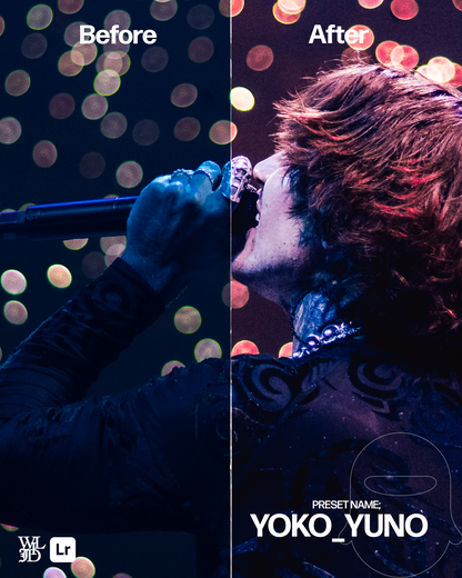 LIVE VOL.1 Lightroom Preset Pack