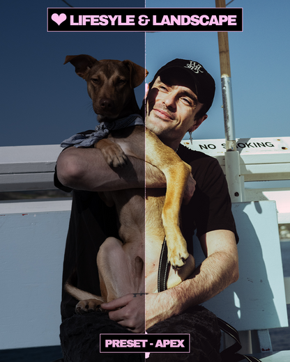 Aesthetics Lightroom Preset Pack Vol. 1