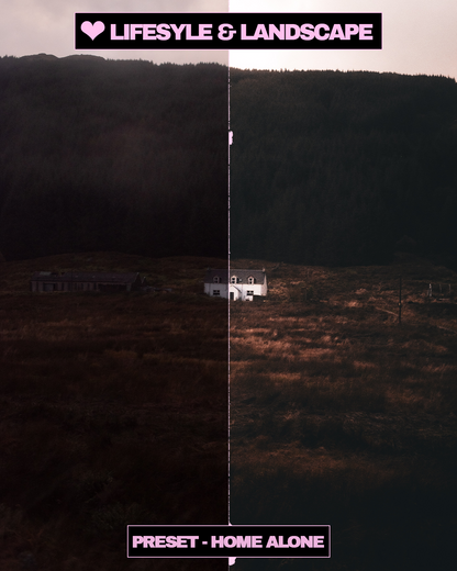 Aesthetics Lightroom Preset Pack Vol. 1