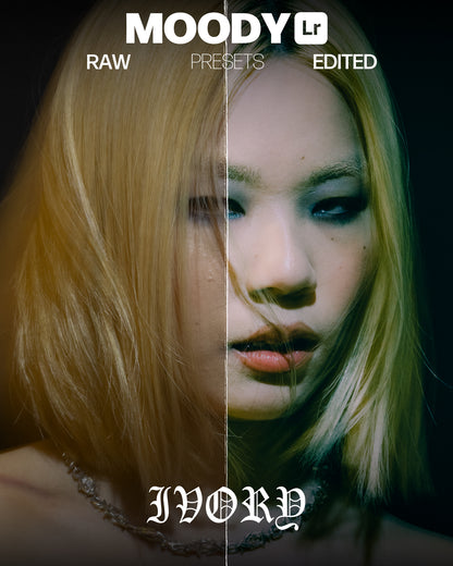 MOODY Lightroom Preset Pack